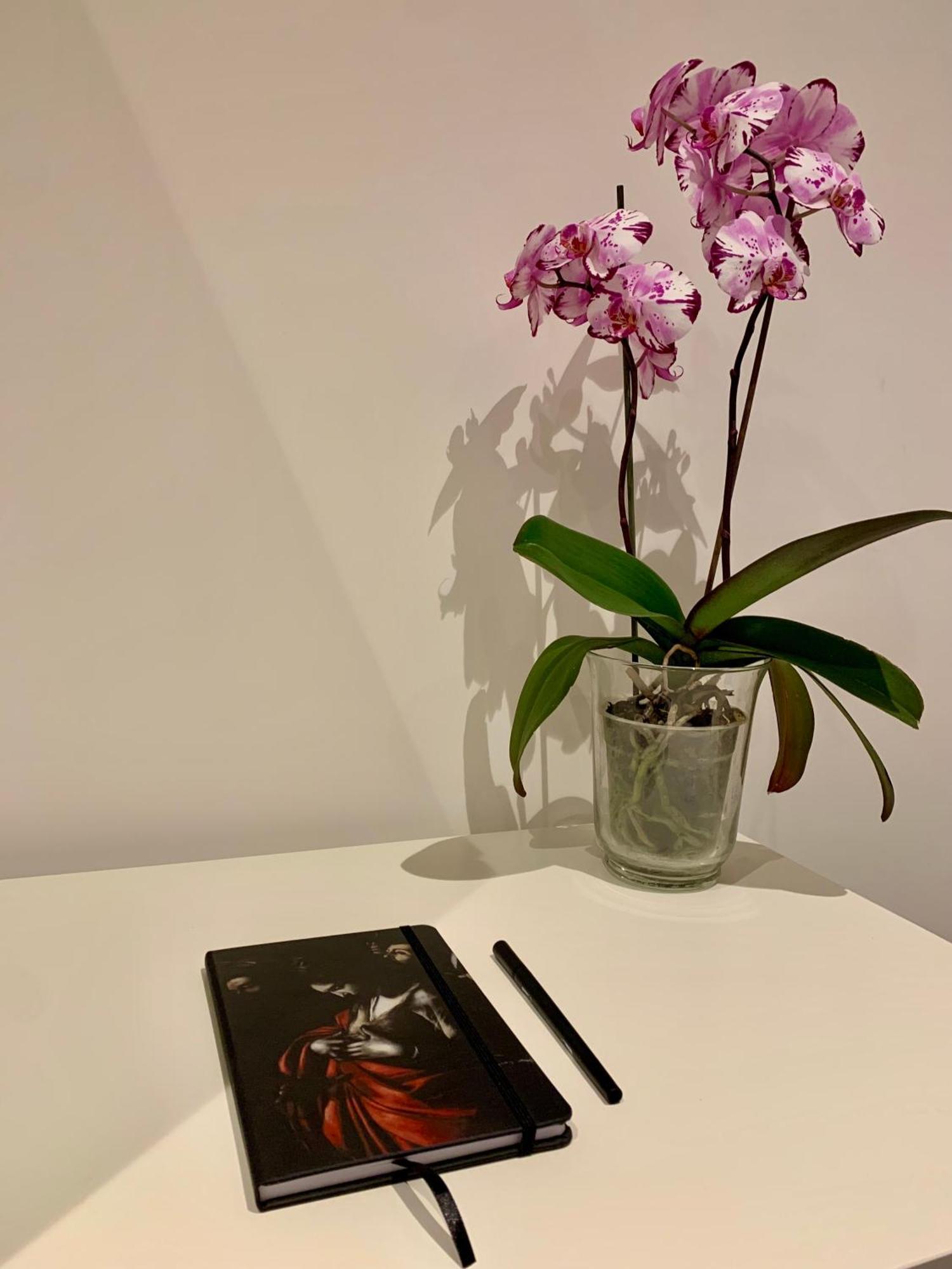 Residenza D'Artista Al Conservatorio ساليرنو المظهر الخارجي الصورة